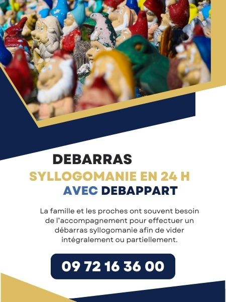 Debarras syllogomanie